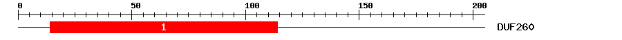 Signature Domain