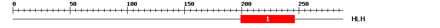 Signature Domain