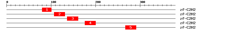 Signature Domain