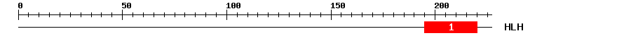 Signature Domain