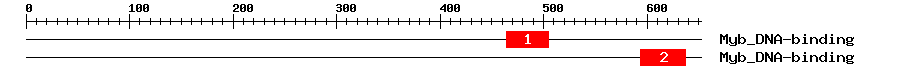 Signature Domain