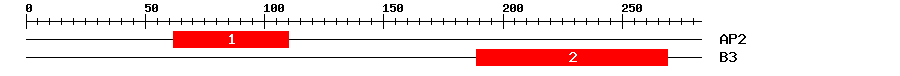 Signature Domain