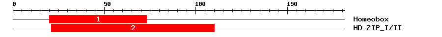 Signature Domain