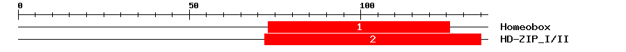Signature Domain