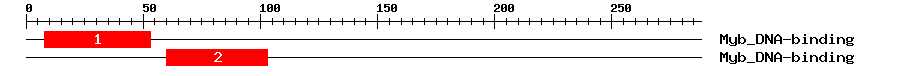 Signature Domain