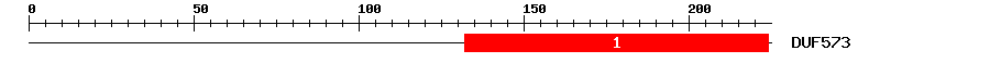 Signature Domain