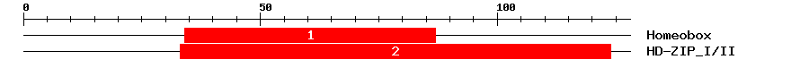 Signature Domain