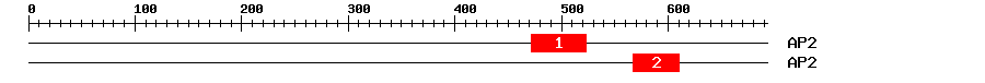 Signature Domain