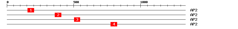Signature Domain