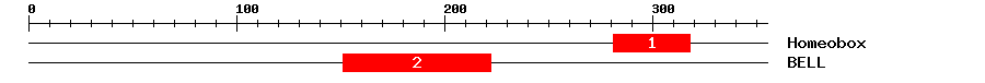 Signature Domain