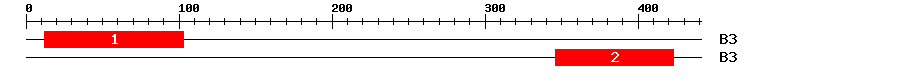 Signature Domain