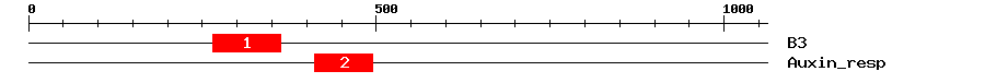 Signature Domain