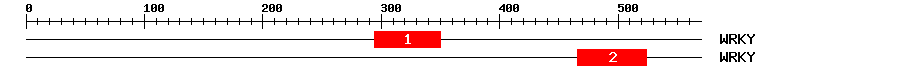 Signature Domain