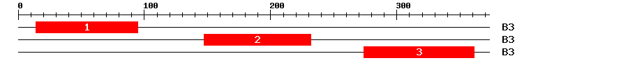 Signature Domain