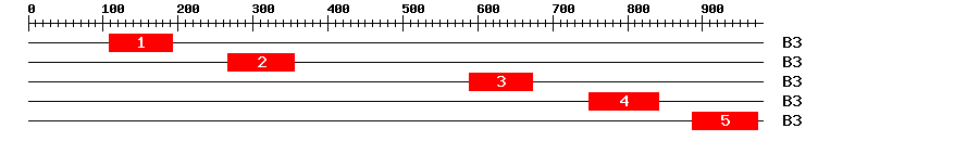 Signature Domain