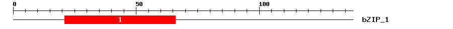 Signature Domain