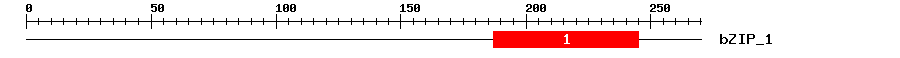 Signature Domain