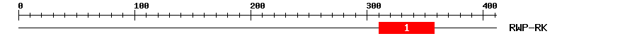 Signature Domain