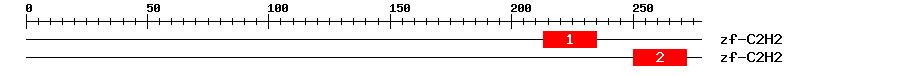 Signature Domain