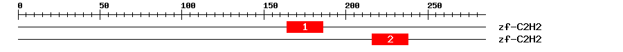 Signature Domain