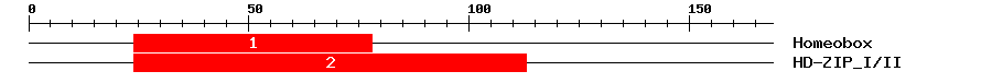 Signature Domain