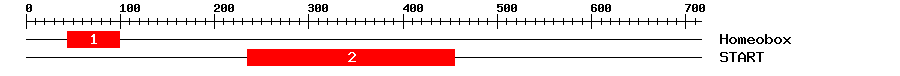 Signature Domain