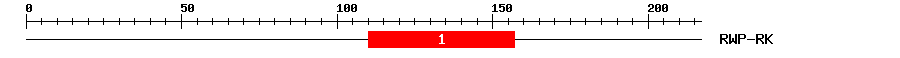 Signature Domain