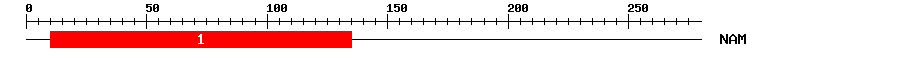 Signature Domain