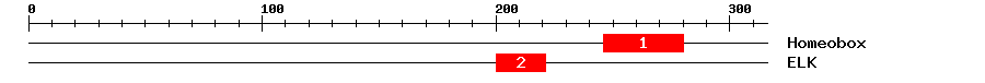 Signature Domain