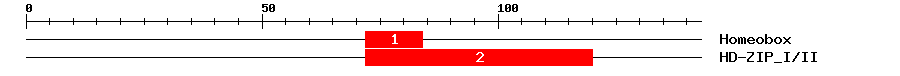 Signature Domain