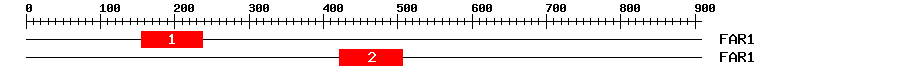 Signature Domain