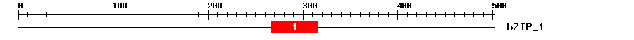 Signature Domain