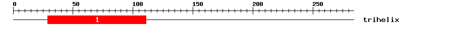 Signature Domain