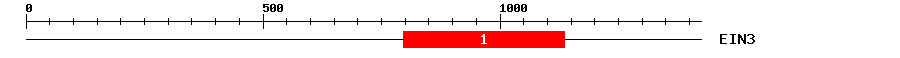 Signature Domain