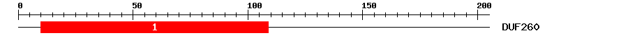 Signature Domain