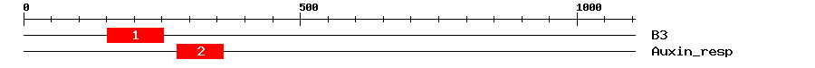 Signature Domain