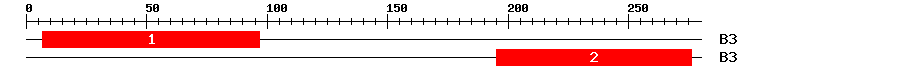 Signature Domain