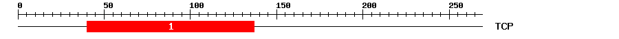 Signature Domain