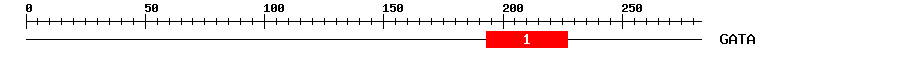 Signature Domain