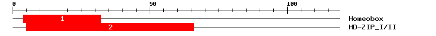 Signature Domain