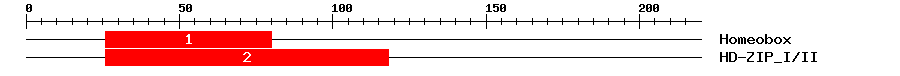 Signature Domain