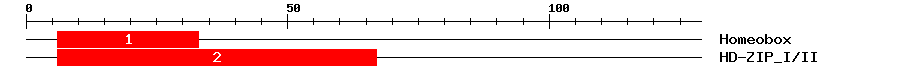 Signature Domain