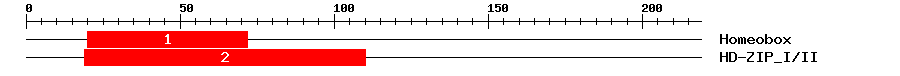 Signature Domain