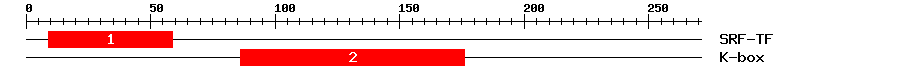 Signature Domain