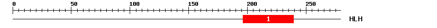 Signature Domain