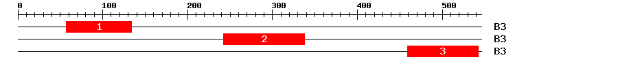 Signature Domain