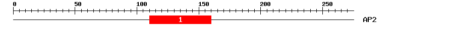 Signature Domain