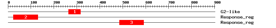 Signature Domain