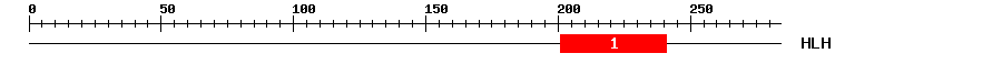 Signature Domain