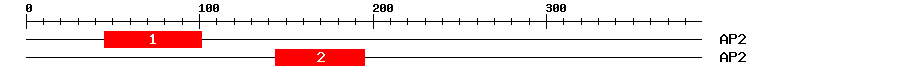 Signature Domain